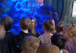 dzieci oglądają meduzy
