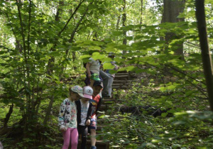dzieci schodzą po leśnych schodach