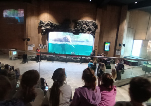 dzieci oglądają kąpiące się słonie