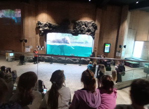 Wyjątkowa wyprawa do Orientarium ZOO Łódź