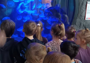 dzieci oglądają meduzy