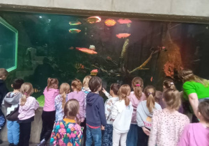 dzieci oglądają kolorowe ryby w wielkim akwarium